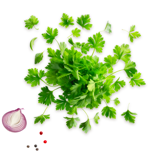 Onion