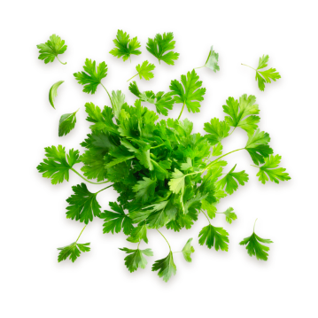 Parsley